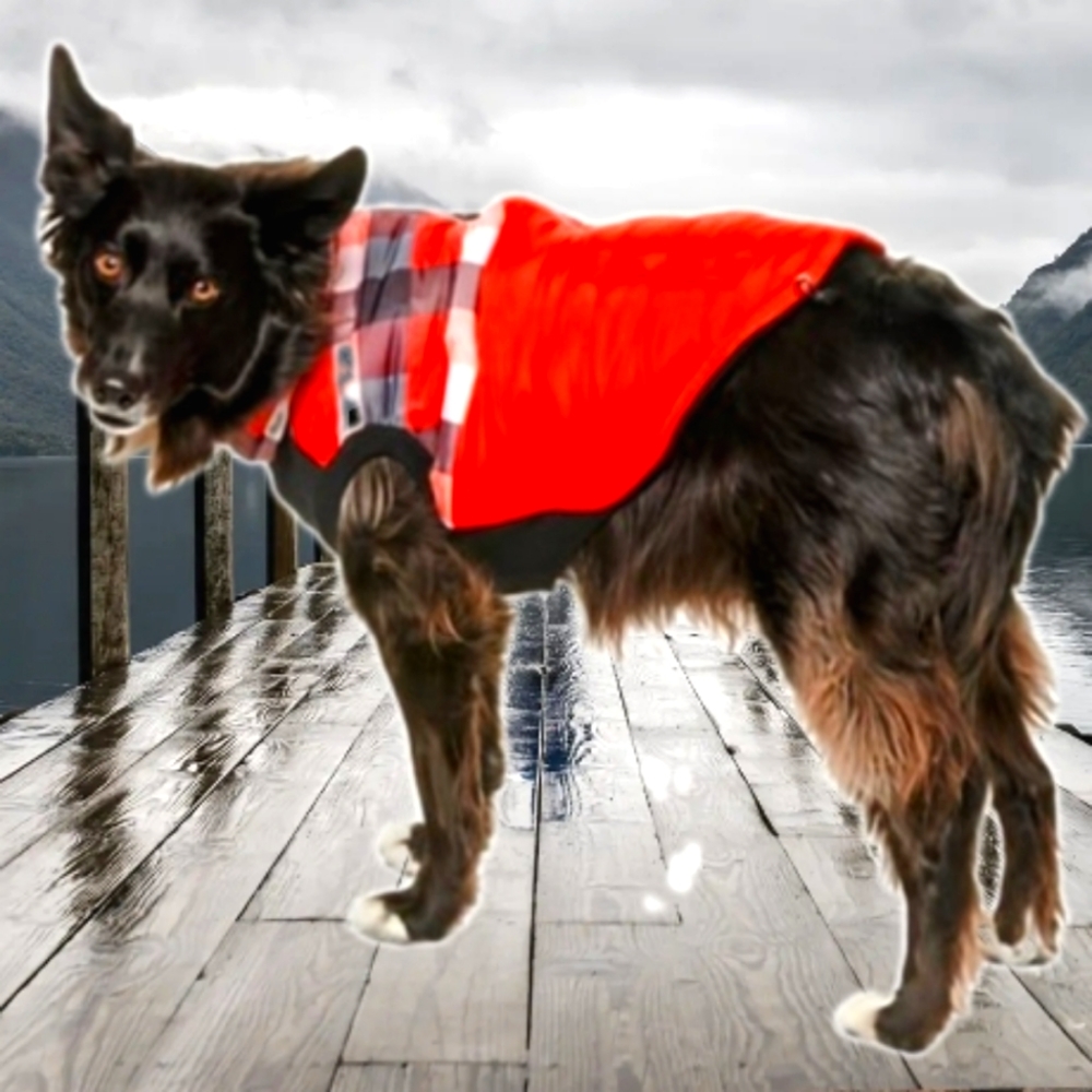 Luv gear dog insulated jacket waterproof & ❄️🌨️ Ice/snow/wind proof. NWT, Large